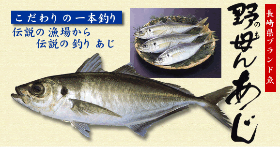 野母崎三和のブランド魚 野母んあじ